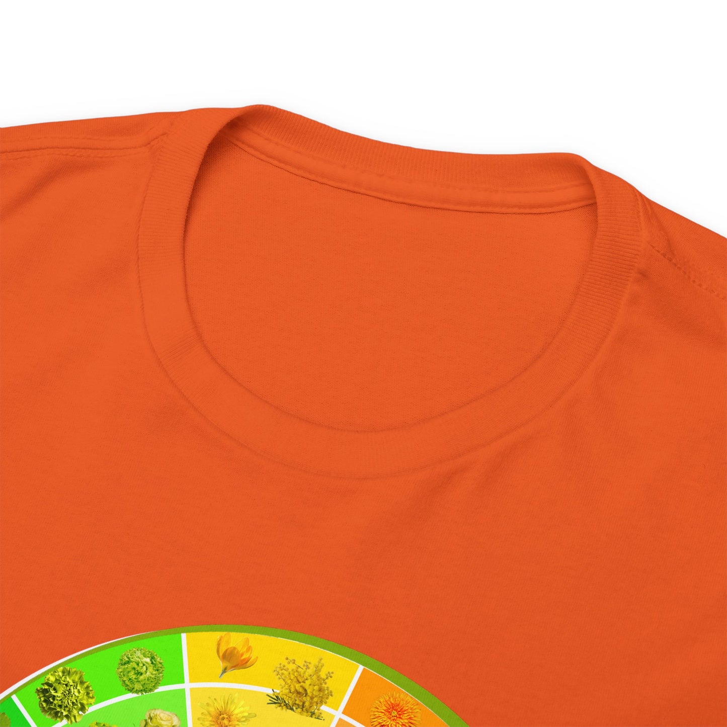 Bánh Xe Màu | Áo thun cotton dày cho cả nam và nữ