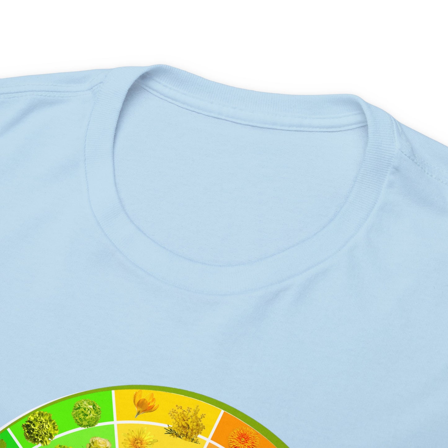 Bánh Xe Màu | Áo thun cotton dày cho cả nam và nữ