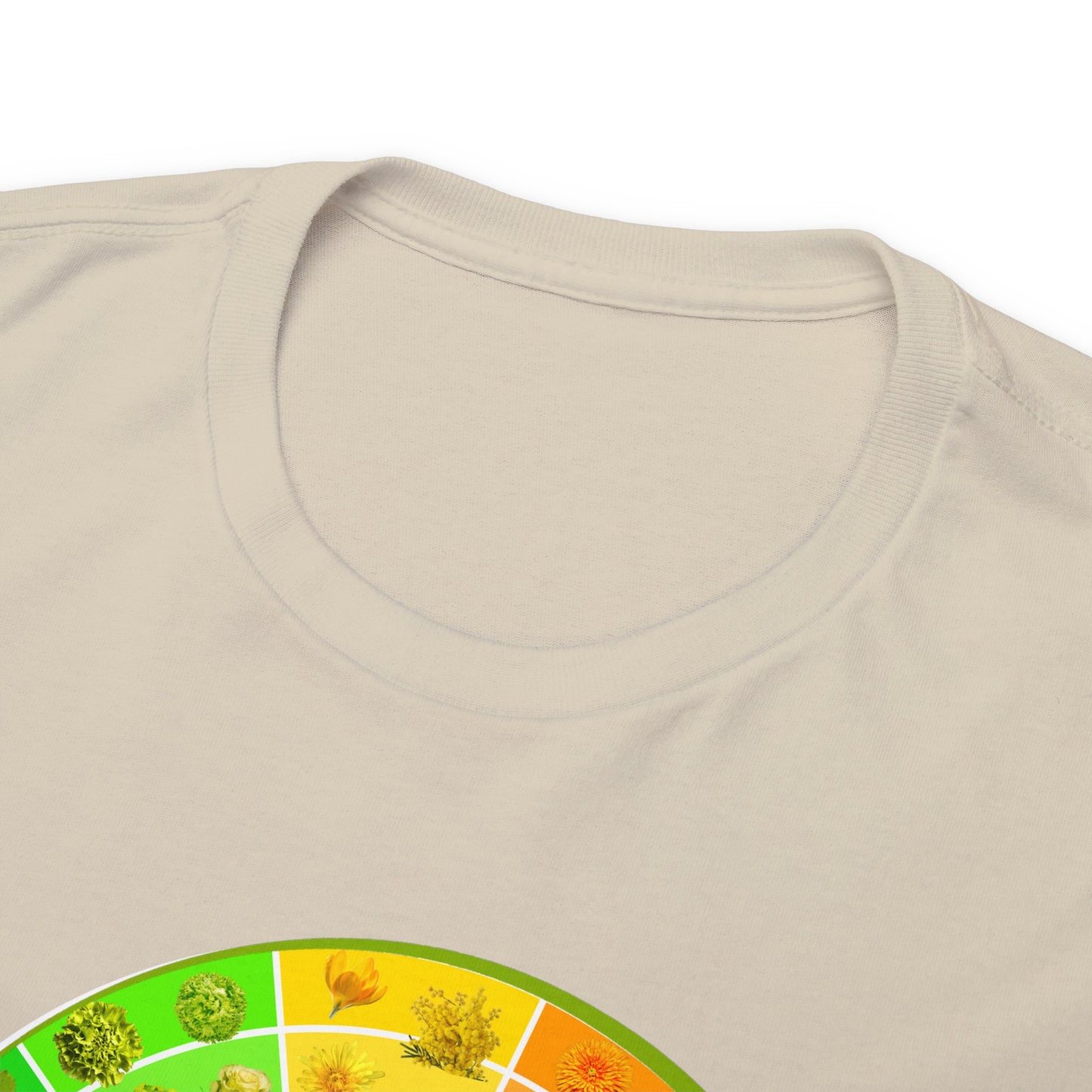 Bánh Xe Màu | Áo thun cotton dày cho cả nam và nữ