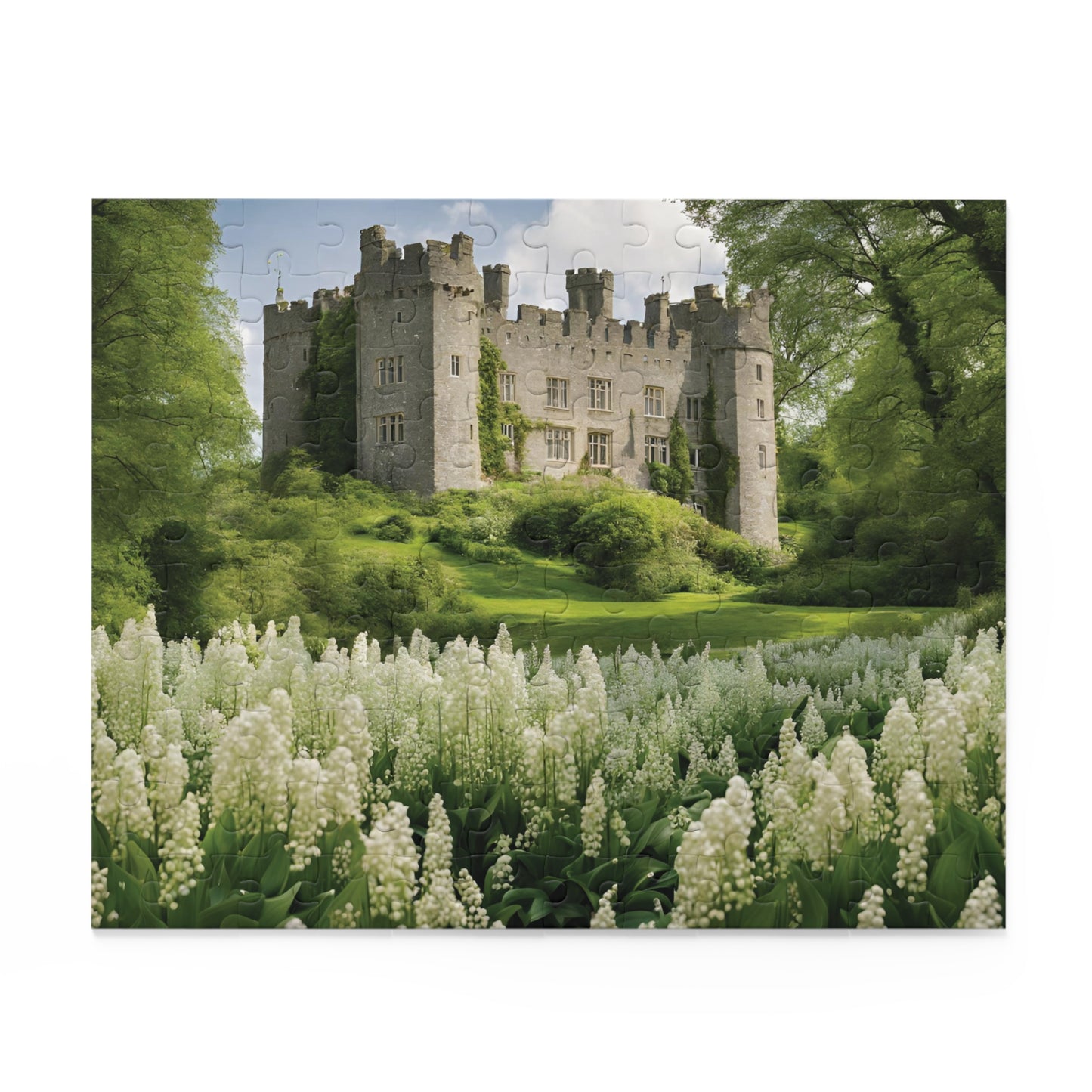 Hộp xếp hình Lâu đài Anh Quốc (120, 252, 500-Mảnh)