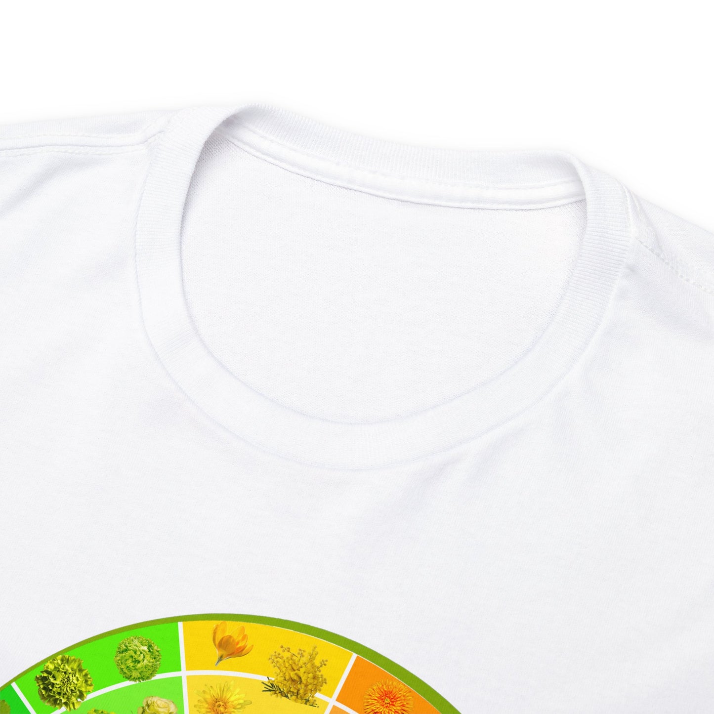 Bánh Xe Màu | Áo thun cotton dày cho cả nam và nữ