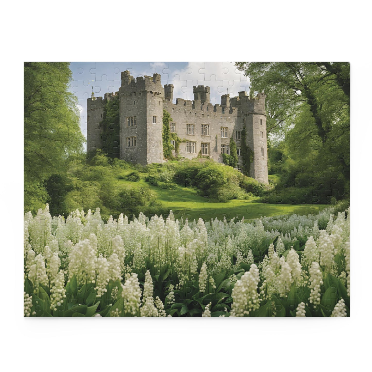 Hộp xếp hình Lâu đài Anh Quốc (120, 252, 500-Mảnh)