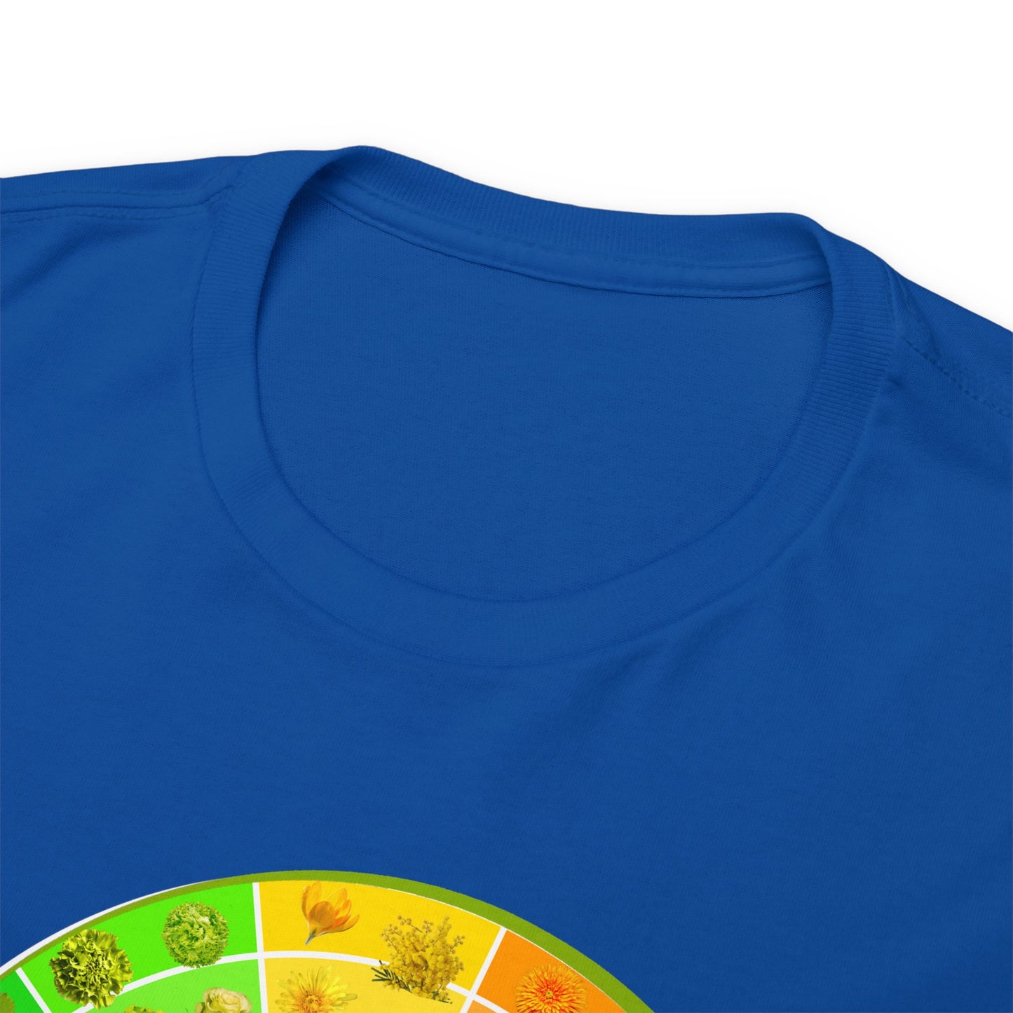 Bánh Xe Màu | Áo thun cotton dày cho cả nam và nữ