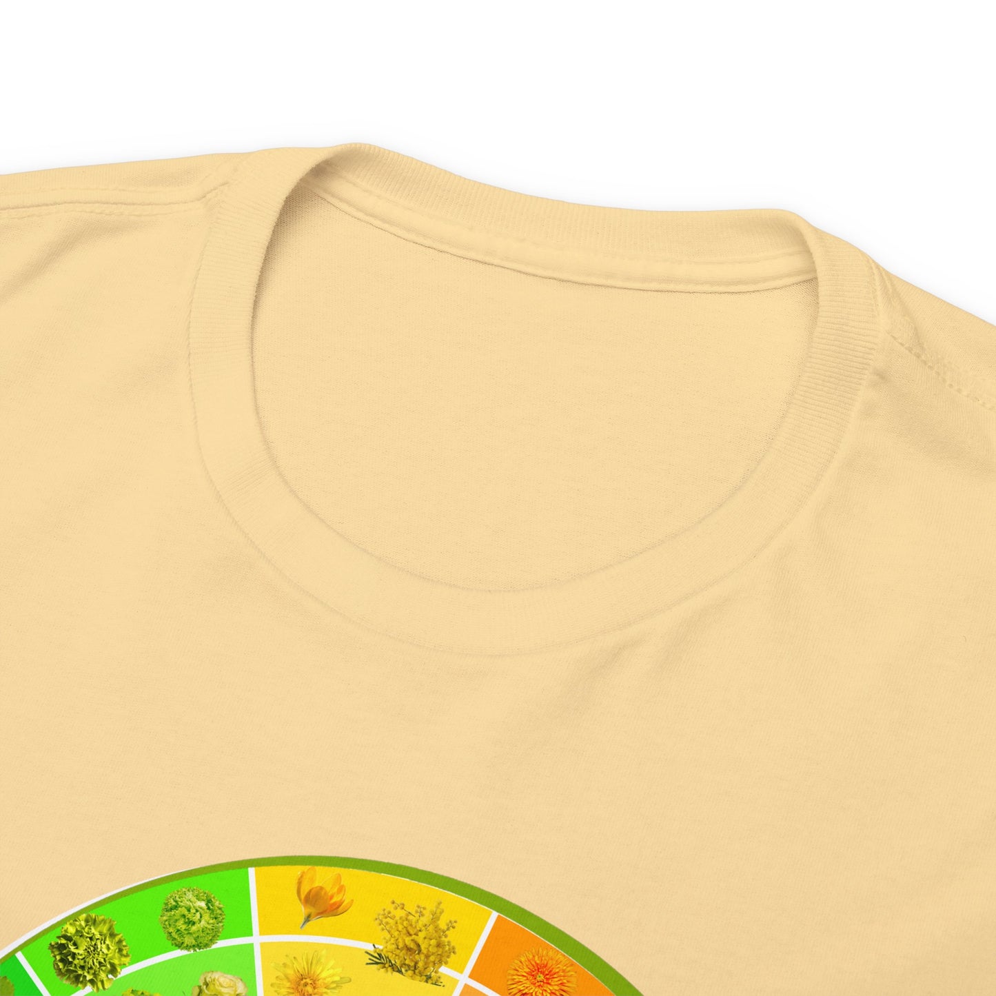 Bánh Xe Màu | Áo thun cotton dày cho cả nam và nữ