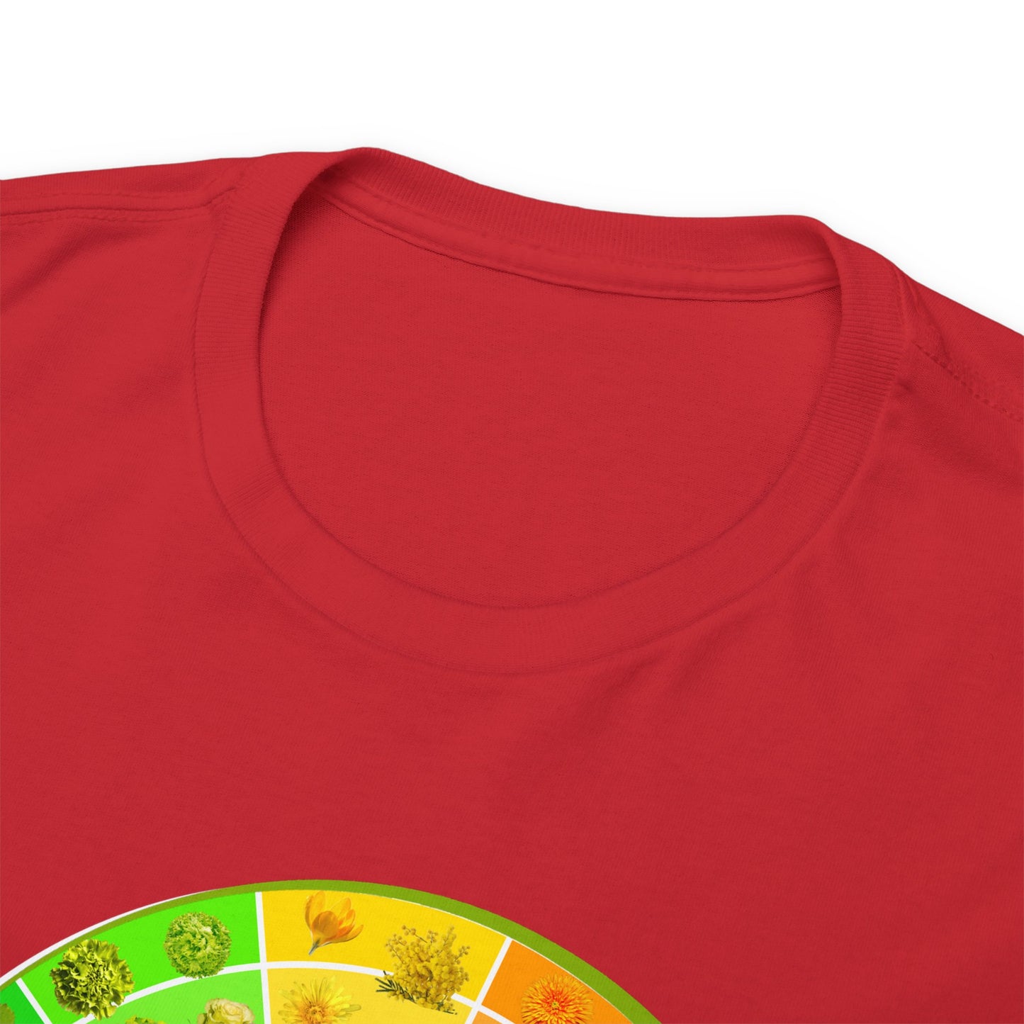 Bánh Xe Màu | Áo thun cotton dày cho cả nam và nữ