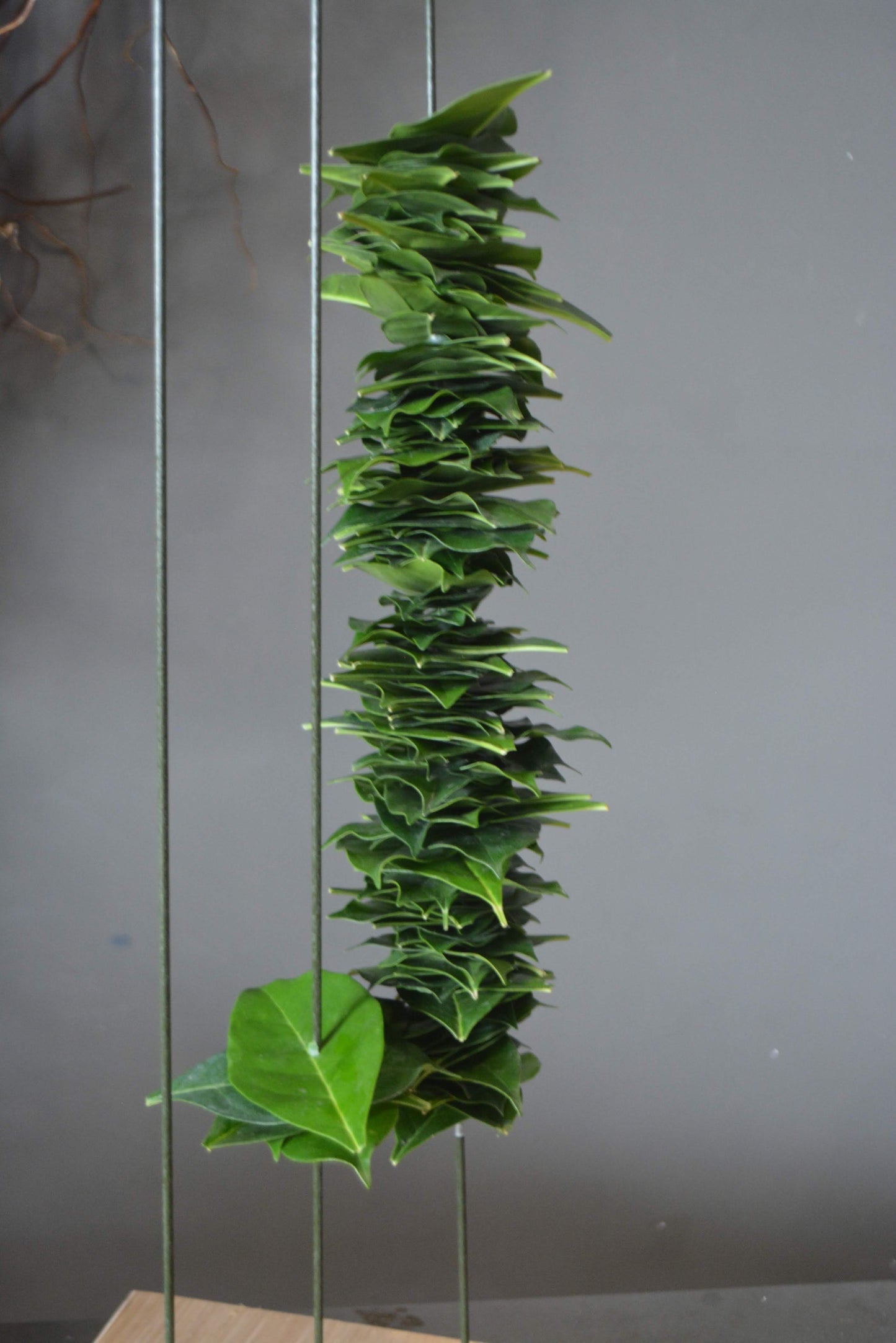 Leaf & Stem Moments | Floral Art workshop with Rose Cao in Hanoi @ Lujio Academy