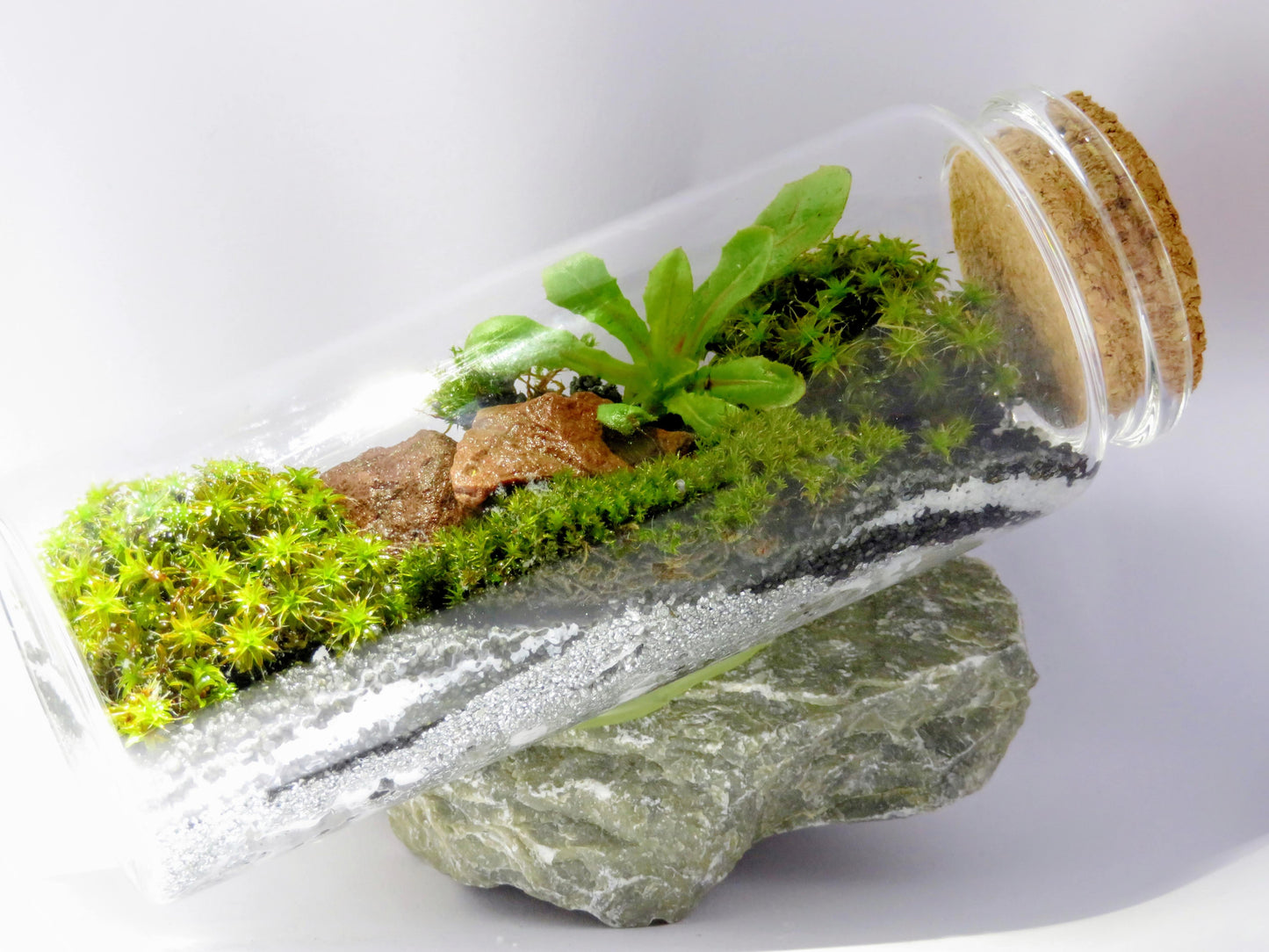 Advanced Floral Design