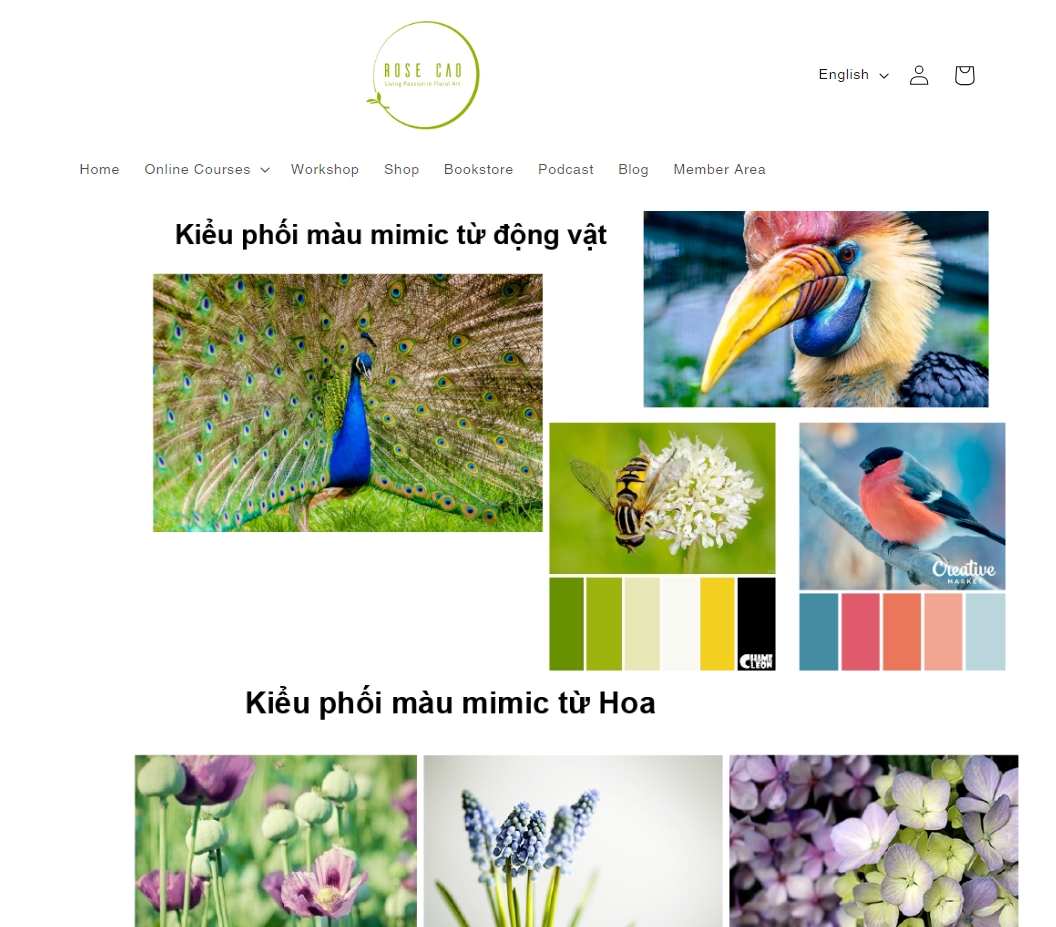 Khóa cắm hoa nâng cao