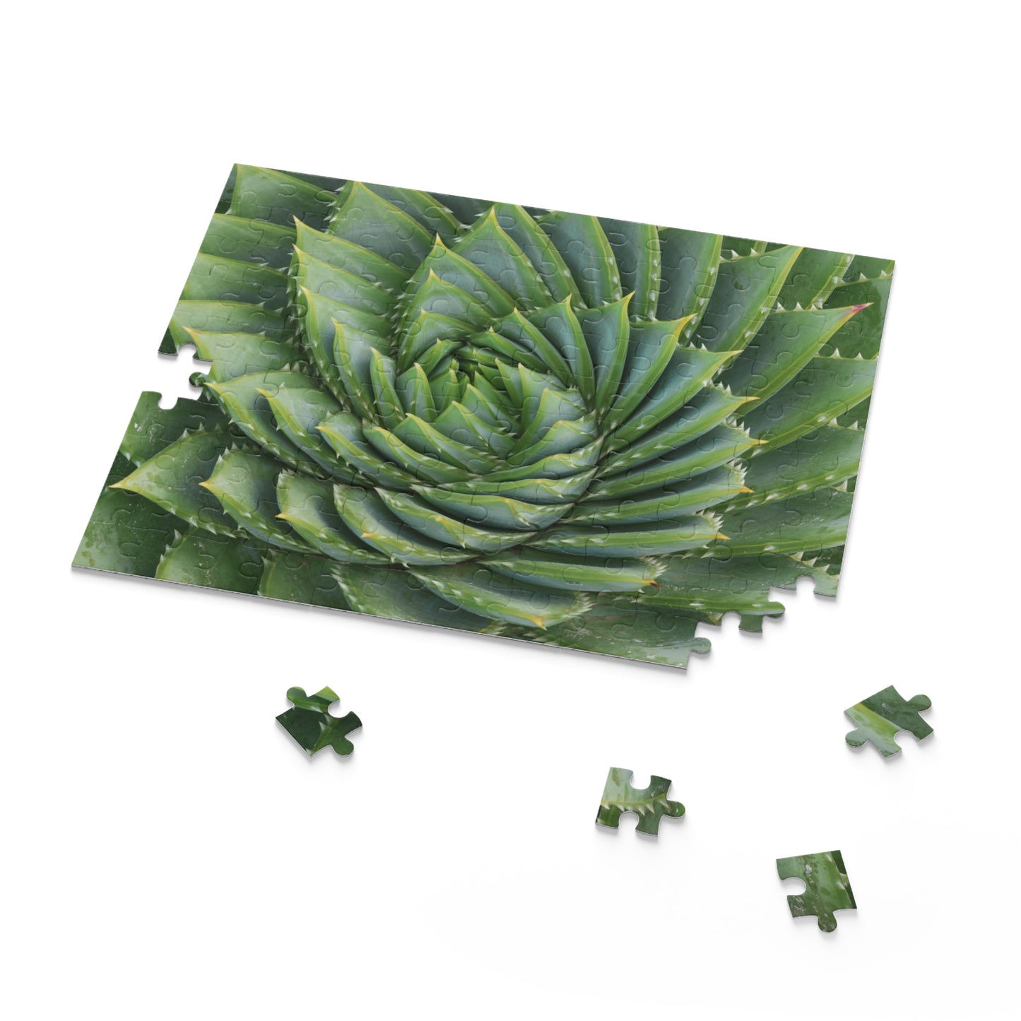 Spiral Aloe Puzzle (120, 252, 500-Piece)