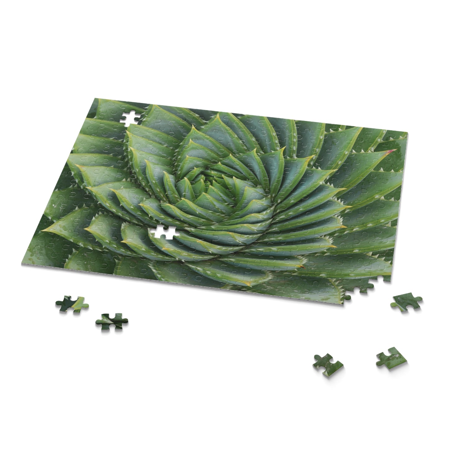 Spiral Aloe Puzzle (120, 252, 500-Piece)