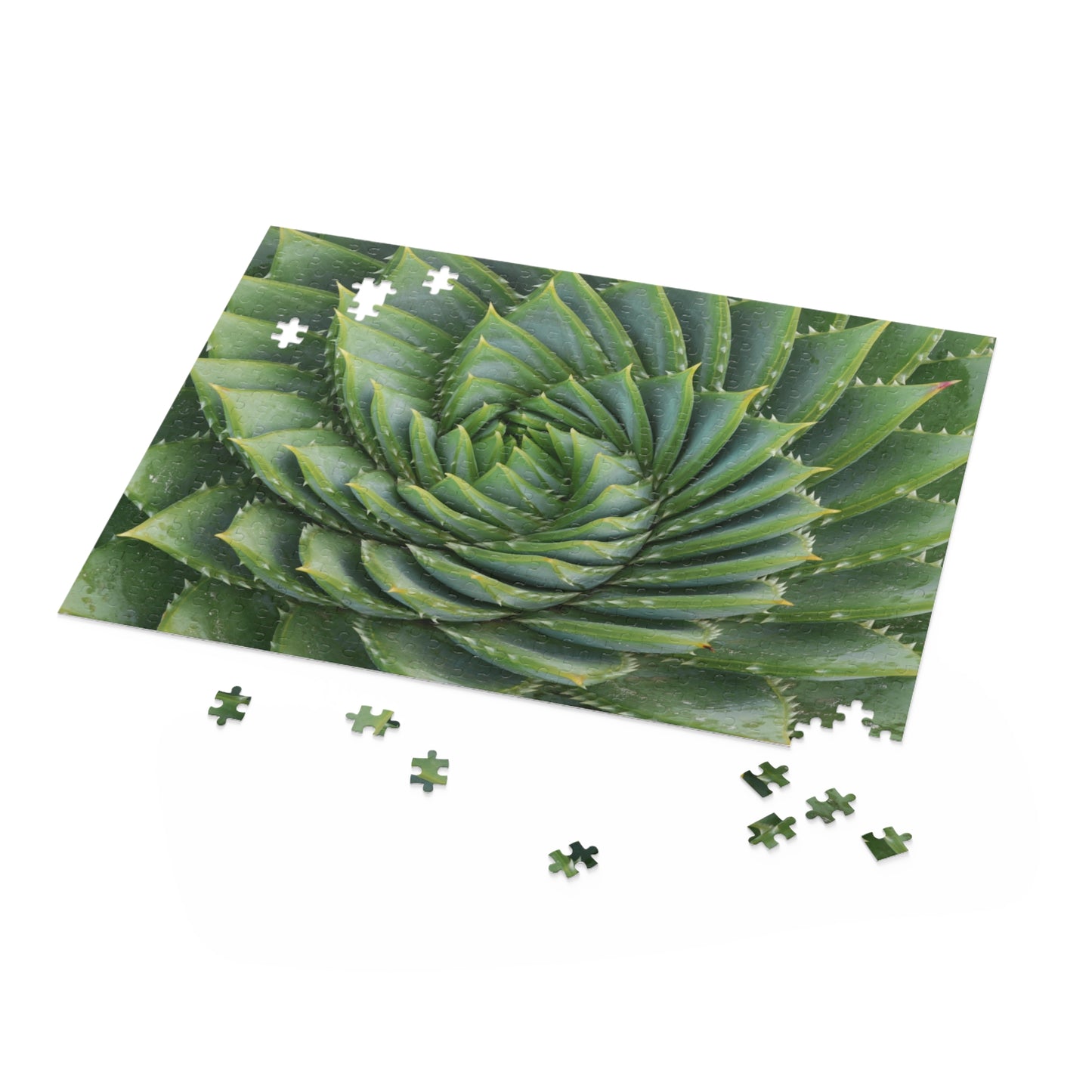 Spiral Aloe Puzzle (120, 252, 500-Piece)