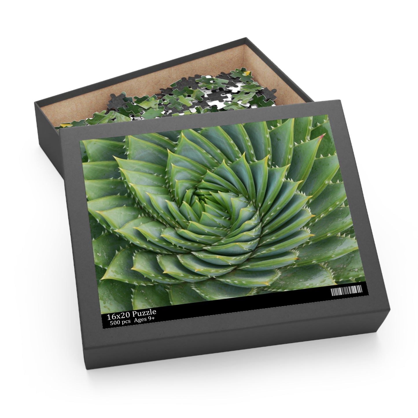 Spiral Aloe Puzzle (120, 252, 500-Piece)