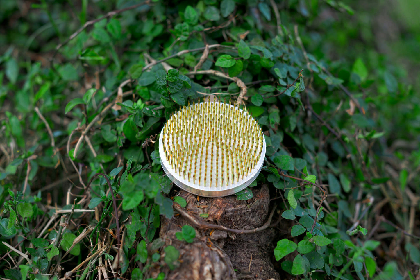 Premium Flower Kenzan - Exclusive Product!