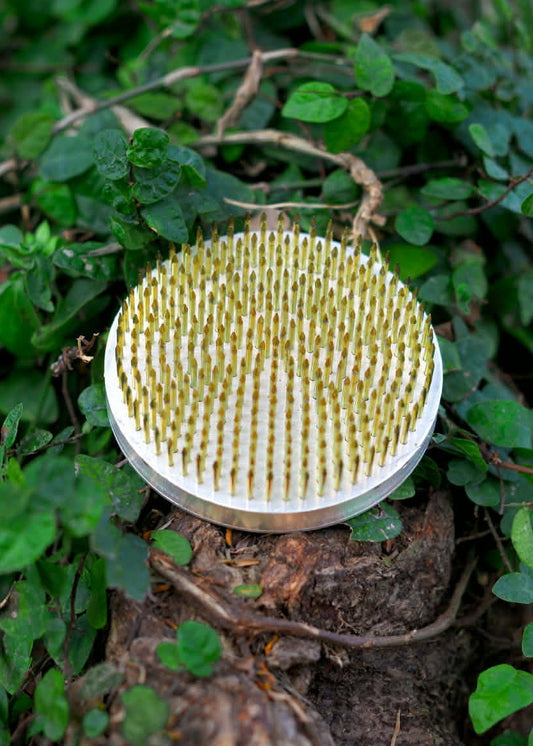 Premium Kenzan – Round