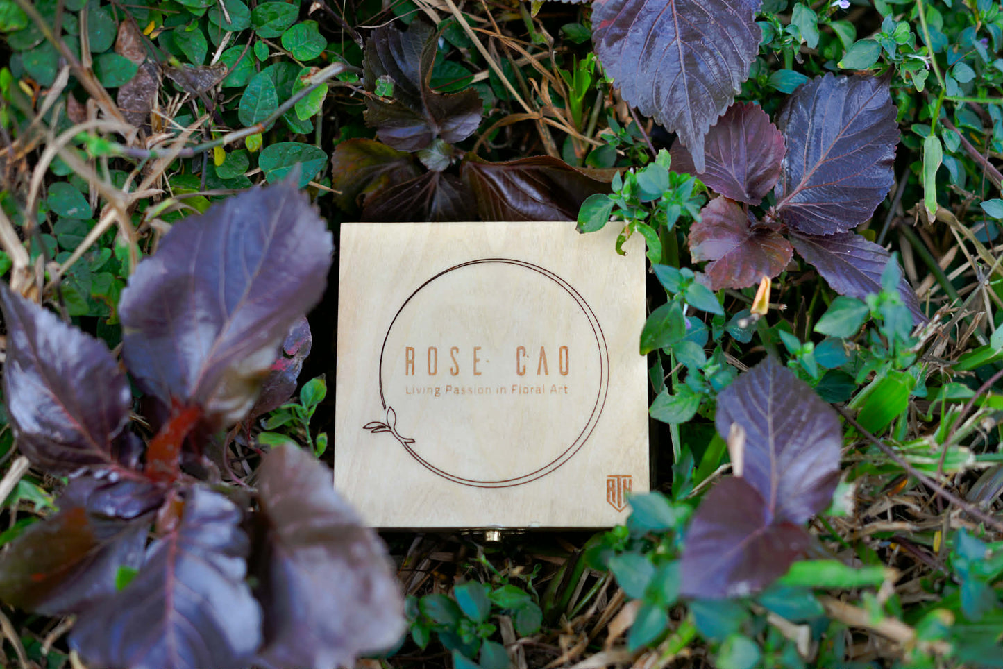 Premium Flower Kenzan - Exclusive Product!