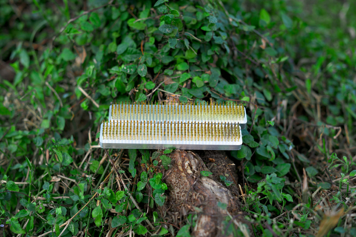 Premium Flower Kenzan - Exclusive Product!